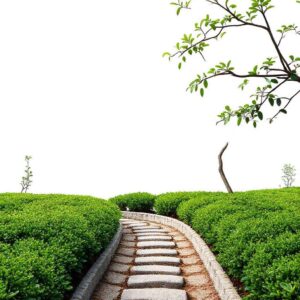 Sypaný čaj •  1 mezi čaji  • sypané čaje online