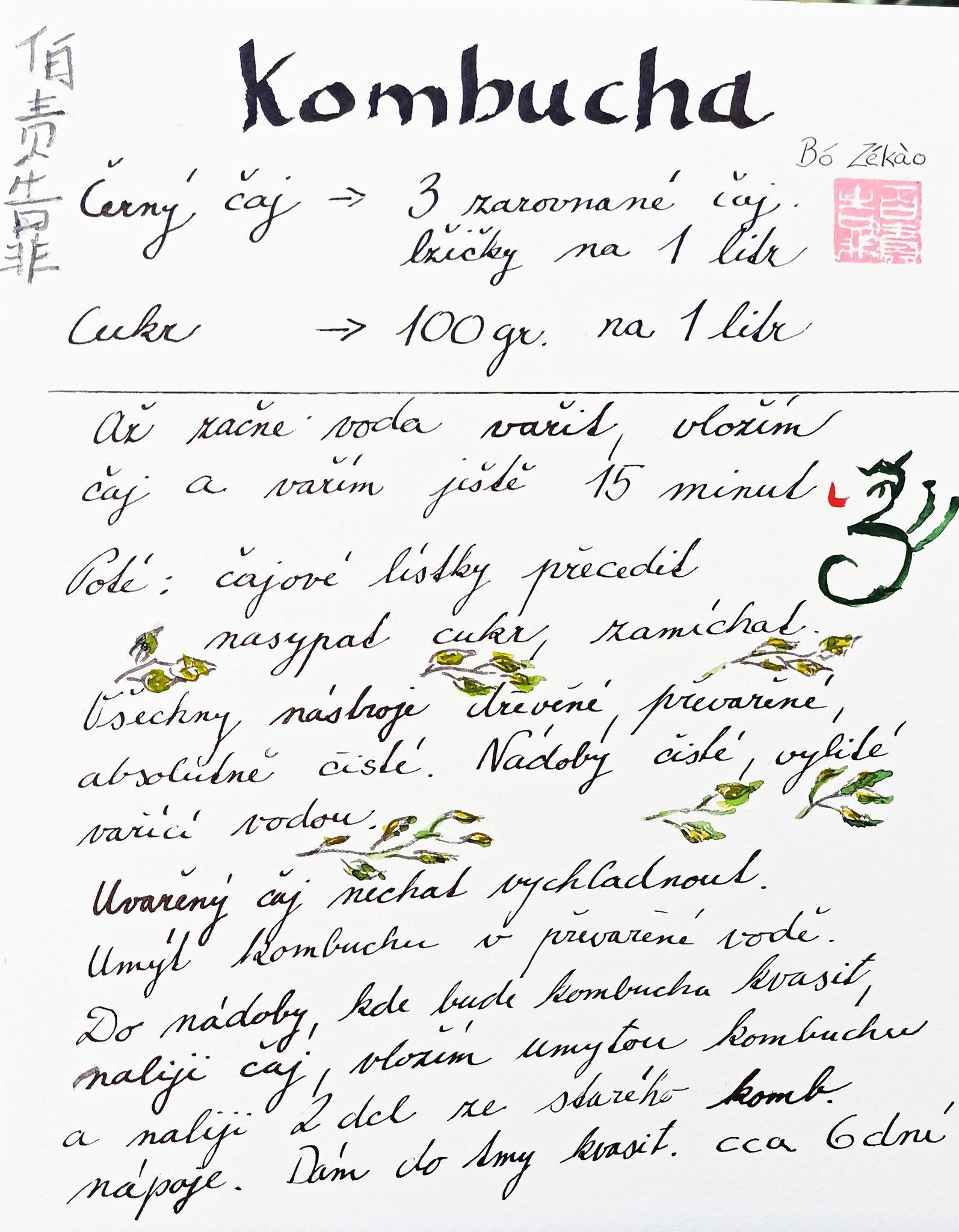 Kombucha a čaj • jaký vybrat? • návod na výrobu kombuchy