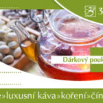 DÁRKOVÝ POUKAZ 100