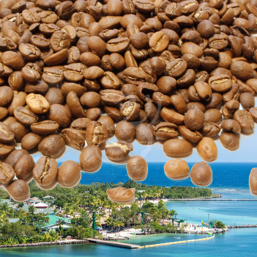 97043.jpg HONDURAS FINCA SPECIAL • honduraská káva - Obrázek 1